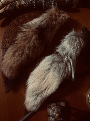 Coyote Tail