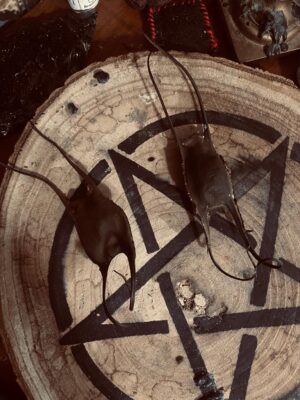 Devil’s Purse